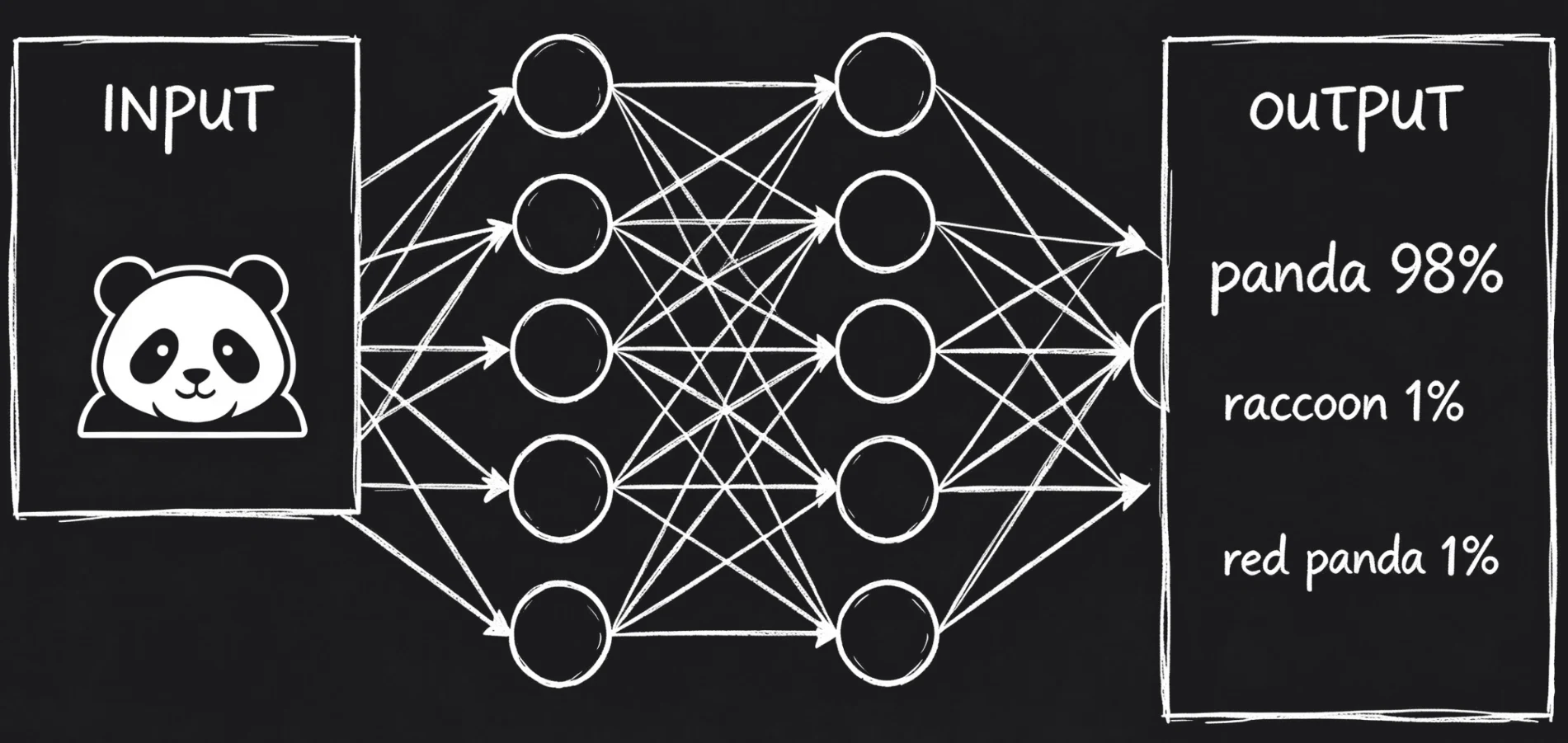 Neural network classifying a panda