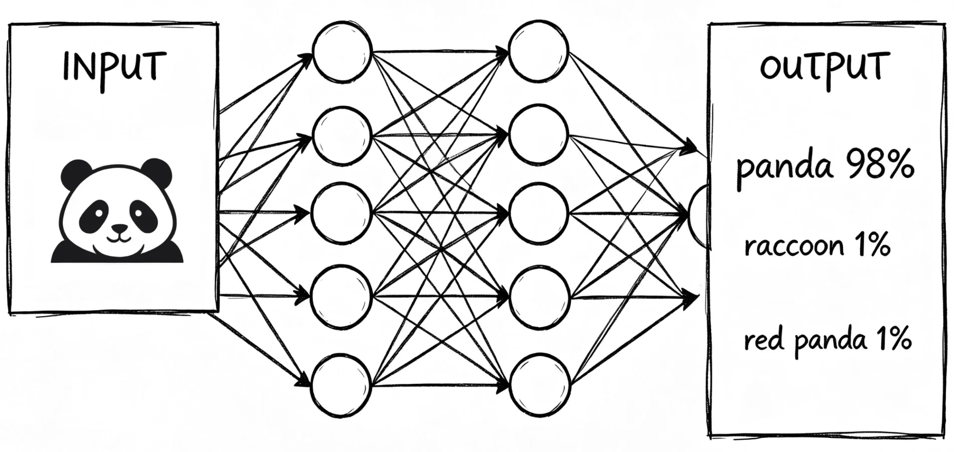 Neural network classifying a panda